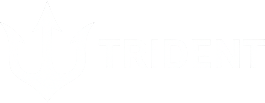TRIDENT 주식회사 트라이던트